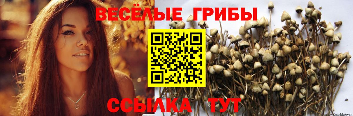 Псилоцибиновые грибы Magic Shrooms  Вход с VPN  Усть-Илимск 
